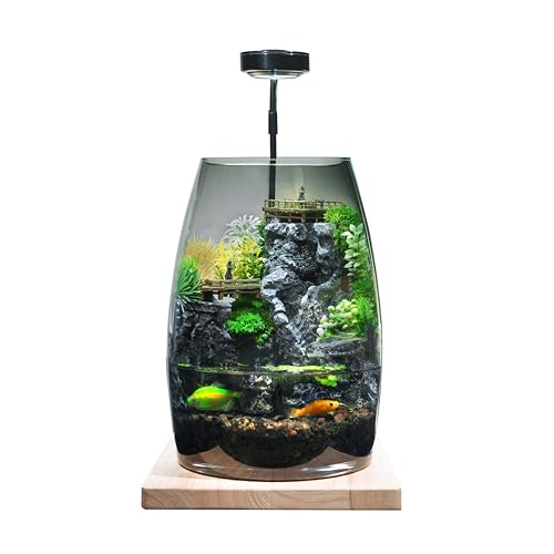 Glass Container Miniature Landscape, Waterfall Fish Tank, Eco Tank, Plant Landscape