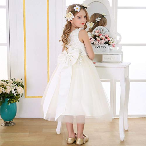 Bow Dream Lace Flower Girl Dress Wedding First Holy Communion Baptism Dresses2