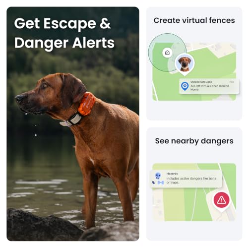 Tractive XL Adventure Smart Dog Tracker | 2026 Edition | Long Battery Life | Real-Time GPS Tracking | Escape & Health Alerts | Vitals Monitoring | Market Leader (Orange) - Image 4