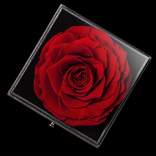 Preserved Real Rose with Necklace Gifts - Eternal Rose in Love Box - Cut for Girlfriend Mother Her Women Female Moms Grandma Wife on Mothers Valentines Day Birthday Christmas Daughter