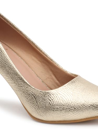 Image of Carlton London Women Stylish Slipon Pump Shoes with Stiletto Heels, Pointed Toe