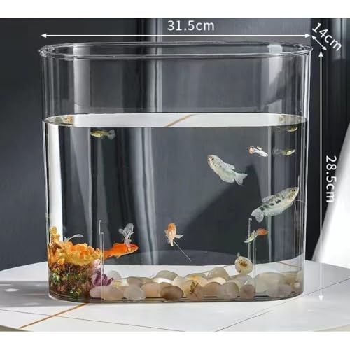 AKILER金魚鉢飼育水槽プラスチックテラリウム透明アクリル観葉植物インテリア容器テーブルアクアリウムボウル水培大容量おしゃれメダカ鉢インテリア花瓶透明 (楕円形)