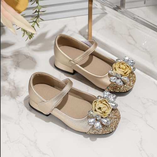 IWIHMIV Toddler Girls Dress Low Chunky Heel Shoes Flower Girls Mary Jane Flat Leather Shoes for Party Wedding2