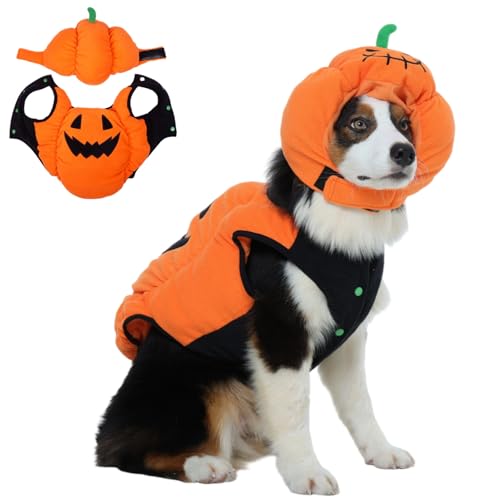 Disfraz de Calabaza Halloween para Perro Mediano