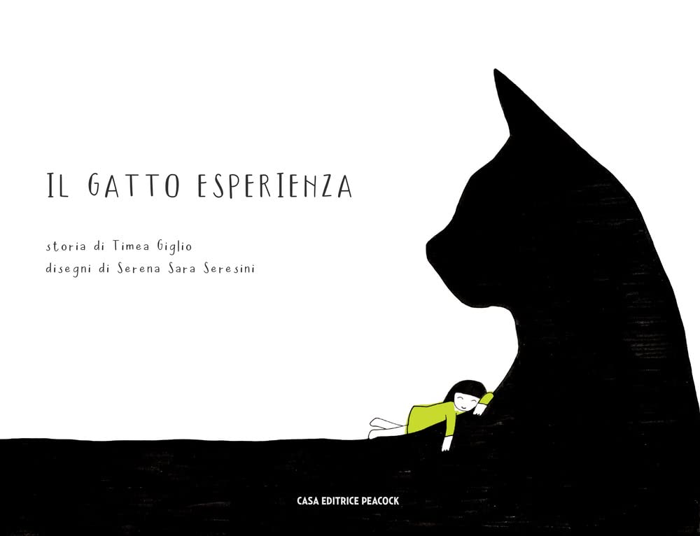 Il Gatto Esperienza - 4
