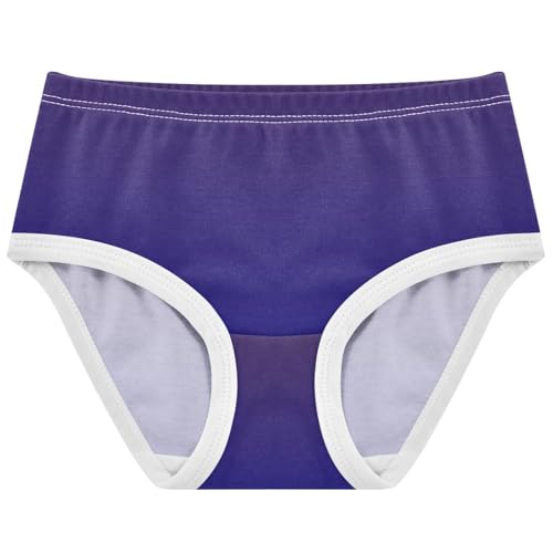 Joisal Cotton Girls Underwear Toddlers Purple Navy Blue Gradient Panties Little Girl Artistic Underpants Briefs 2t