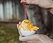 Sanrio Gudetama 4-Inch Shatterproof Decoupage Ornament