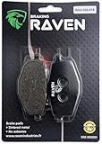 RAVEN Plaquettes de frein Arrière Compatible pour Yamaha TDR 125 R de 1993 à 2002