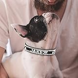 Senristar Personalisierte Bling Strass Hundehalsband mit Namen, Benutzerdefinierte Glitter Crystal Diamond Hundehalsband für Kleine Mittlere Große Hunde
