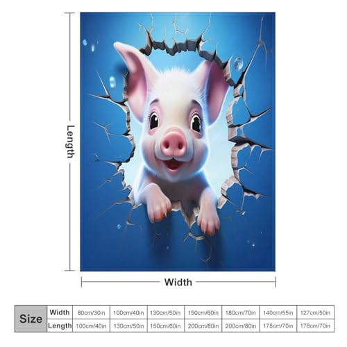 Couverture Polaire Cochon 150x200cm | Plaid Lit et Canapé en Flannel Douce - 6