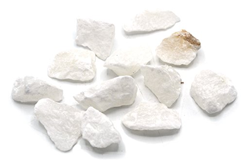 Image of Eisco Rock Gypsum Specimen (Sedimentary Rock), Approx. 3cm (1 inch), Pack of 12