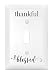 Dexsa Thankful & Blessed Let Your Light Shine Single Light Switch Cover