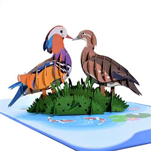 CUTE POPUP 3D Pop Up Valentine's Day Card Mandarin Duck Couple, Symbol of Love and Faithfulness — Anniversary, Wedding, Romance — Handmade 6x6 Inch, Envelope Included