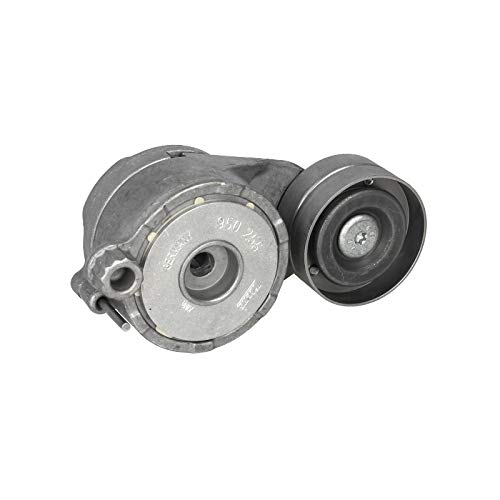 Ina 534050610 Tensioner