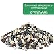 HXJDAM 950g Dekorative Steine Natürliche gemischte Farben Dekosteine Jade kieselsteine Flusskiesel für Blumentopf Vasenfüller Basteln Aquarium Gartendekoration