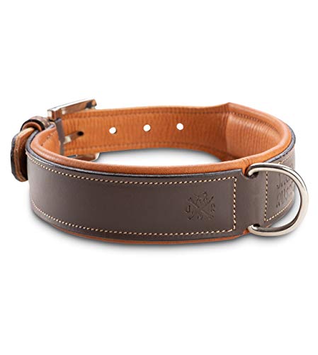 Jack & Russell Hundehalsband Leder Amy - Lederhalsband aus Echtleder - gepolstert & robust - Hunde Halsband doppellagig, kleine, mittelgrosse und große Hunde (L, Braun)