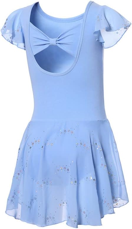 DIPUG Girls Ballet Leotard with Skirt Toddler Shiny Dance Dress with Ruffle Sleeve