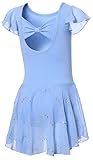 DIPUG Blue Ballet Leotards for Girls Toddler Dance Leotard Hollow Back Shiny Skirt Ruffle Sleeve Ballerina Dress