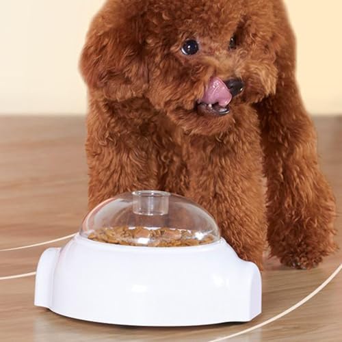 Puzzle pour chien distributeur de friandises et jouet stimulation cérébrale