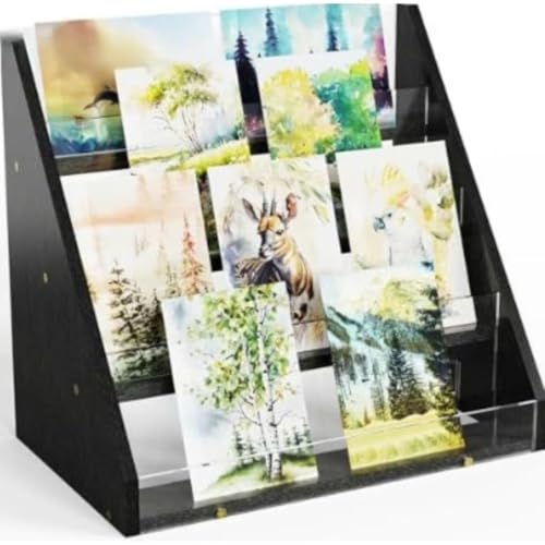 Angoda J[h[bN hfBXvC ͂WI | AN  w\ O[eBOJ[h ʐ^   a CeA  X ()