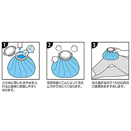 スケーター 氷のう アイスバッグ M 氷嚢 ひょうのう ディノ