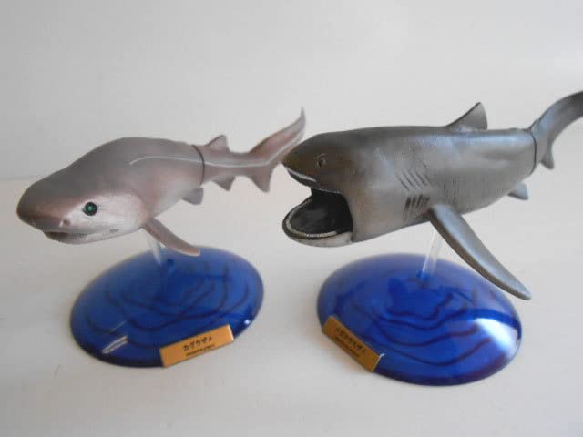 Amazon | ♯Jxi01LT深海の巨大生物NHKスペシャル謎の海底サメ王国人気3