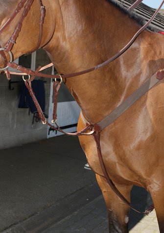 John Whitaker V-Check Horses Breastplate