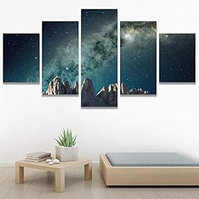 SIGNWIN 5 Panel Canvas Wall Art Modern Art...