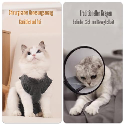 Axcimond Katzen-Genesungsanzug, Körperanzüge für medizinische Behandlung, chirurgische Katzen, Anzüge, Kätzchen-Body nach Operationen, Einteiler, Operationen, Genesungsanzug, Katzenkleidung nach