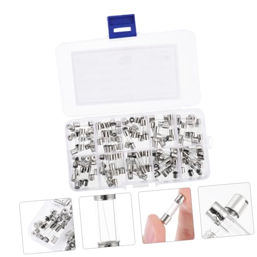 TEHAUX Kit de Fusibles de Vidrio 200 piezas Accion Rápida 5x20mm 0.2A-20A con Estuche miniatura 4