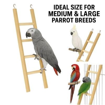 Image of KSK Wooden Ladder Bird Toy - Natural Climbing & Chew Toy for Parrots, Cockatiels, Conures, African Greys, Hamsters & Small Pets