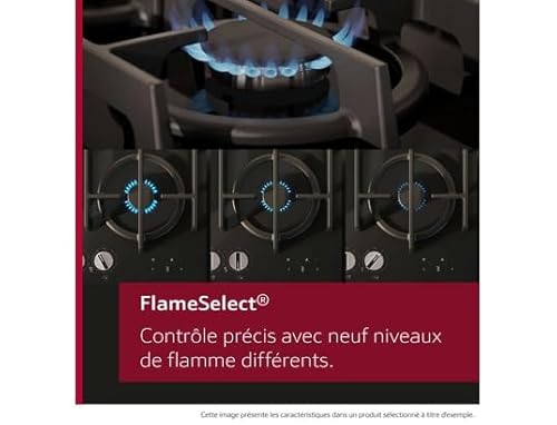 T26PIP4S0 N 70 FlameSelect - vue 7