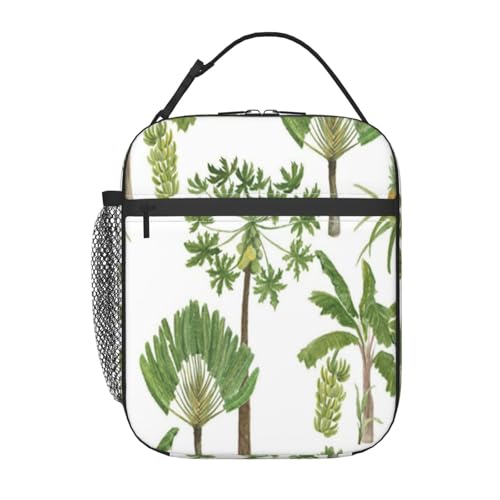 |[^ufM`obOBhƘRh~AX^CbVŏvBdAwZAAEghAɍœKłBjɂɂKĂ܂BiV[XȐʉ̉ԕgsJp^[̔wiɃV̖؁j