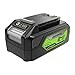 Greenworks 24V Battery. Original Greenworks Rechargeable Powerful Battery. Suitable for All 24V Garden Tools. 4 Ah Lithium-Ion Battery. Fast Charging, 3-Stage charge level. 2 Year Warranty G24B4