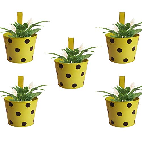 5 Bingo POTS Round Dotted Railing PLANTERS Green Amazon.in Garden