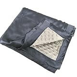Cozysilk Baby Soft Silk Blanket - 100% Mulberry Silk On One Layer with Minky Plush Dot Blanket Backi