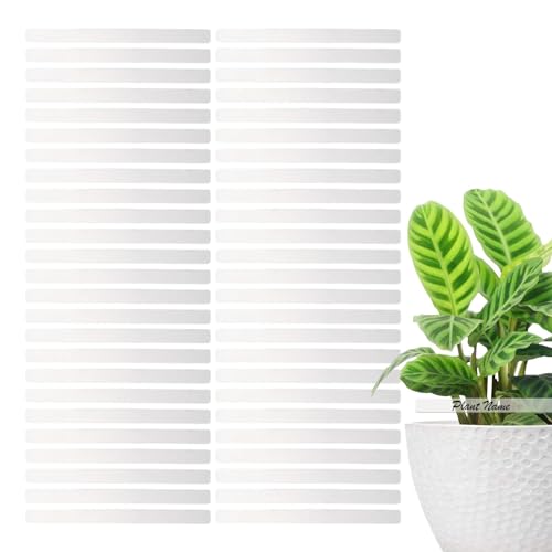 Lot de 50 étiquettes en acrylique transparent pour plantes, étiquettes d'identification de sol vierges en acrylique pour jardin, étiquettes d'identification