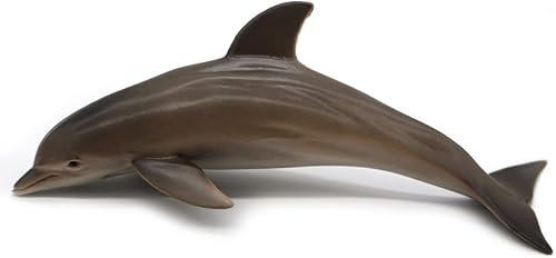 Miniatura 14 de SmilerSmile Animales marinos sólidos, juguetes educativos de simulación, tiburón oceánico, criatura marina, juguete para niños pequeños y niños 09