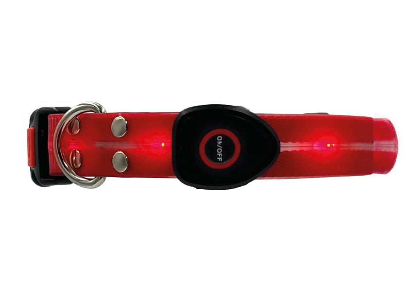 Collare Luminoso per Cani Ricaricabile USB, con LED Monocolore con 3 Modalità di Illuminazione, Regolabile ed Impermeabile (Rosso)