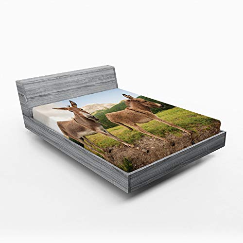 Ambesonne Donkey 2 Pack Fitted Sheet, Dolomites Italy Countryside, Bed Cover All-Round Elastic Deep Pockets 2 Pieces, Package Contains 2 Queen Size Fitted Sheets, Purple Quartz