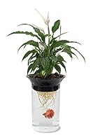 Algopix Similar Product 16 - PennPlax APON1 Aquaponic Planter and