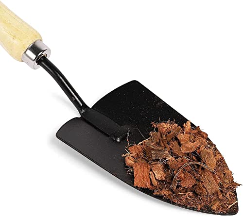 Casa De Amor Natural Coconut Husk Chip for Orchids, Anthurium, Mulch,Potting Mix