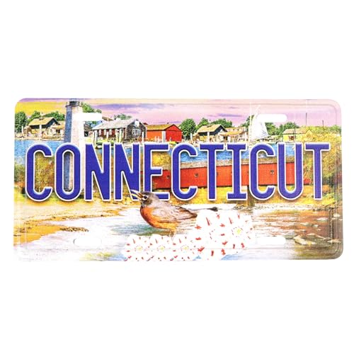 Imán decorativo rectangular con diseño placa de Connecticut miniatura 1