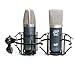 Roswell Pro Audio Matched Pair Mini K87 Microphones