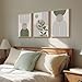Framed Sage Green Boho Wall Art for Living Room, 3 Piece Minimalist Beige and Green Bohemian Artwork for Walls, Large Geometric Leaf Line Boho Paintings Prints for Bedroom Hallway Wall Decor, 16x24 In