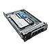 480GB Enterprise EV100 - SSDEV10DF480-AX