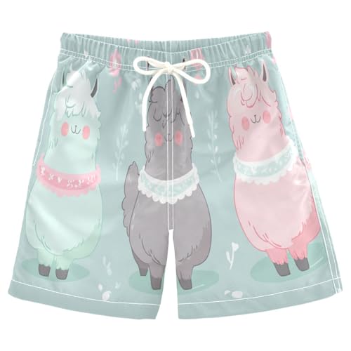 Boys Beach Board Shorts Cute Alpaca Sheep Swim Trunk Teen Swimwear 8-16Y Multicolor