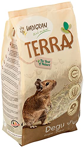 Vadigran Terra Dègue 2,25 Kg