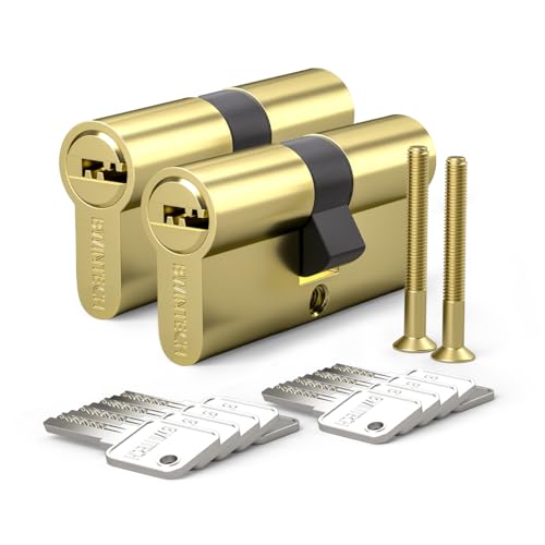 Bwintech 2 x Alike 30/30 mm Euro Lock Cylinder Brass 60 mm with 10 Horizontal Keys, Anti-Skid, Anti-Collision, Polished Finish