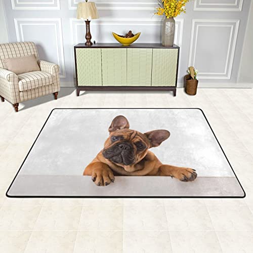 Sunzhenyu Rutschfeste, weiche Indoor-Matte, französische Bulldogge, Pfoten- und Hundebereich, 91,4 x 61 cm, großer Teppich für Wohnzimmer, Schlafzimmer, Waschküche Cover